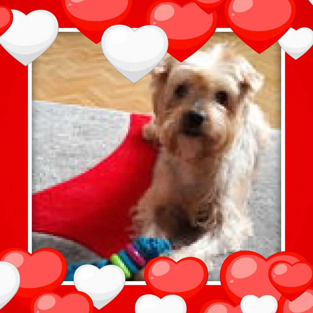 Condolence image of Dzień Dobry❤️❤️❤️Jackusiu❤️❤️❤️17. Wochen.......