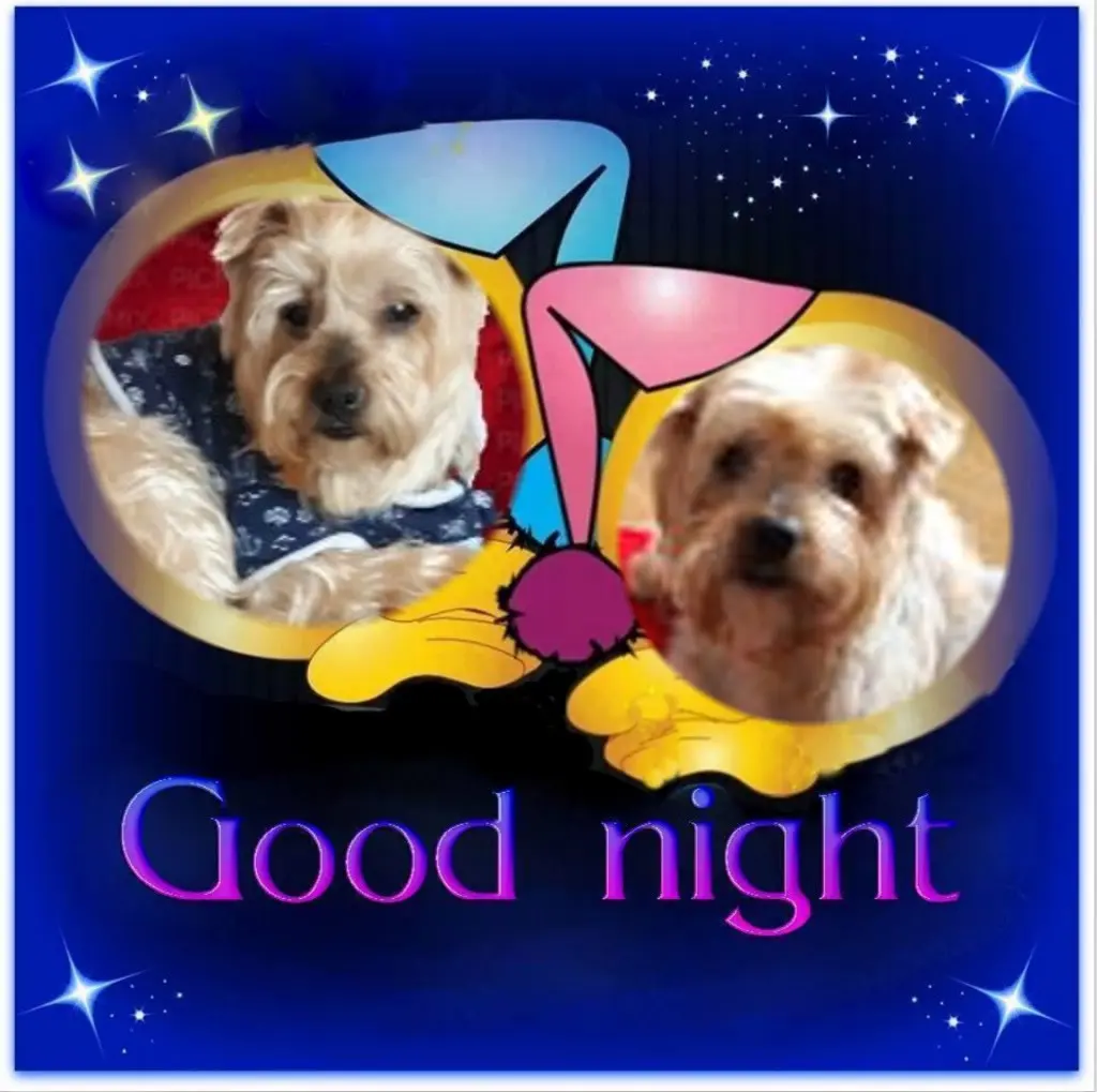 Condolence image of Dobrej Nocki❤️❤️❤️Jackusiu❤️