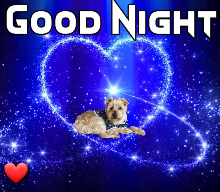 Condolence image of ⭐Gute Nacht Jackusiu❤⭐