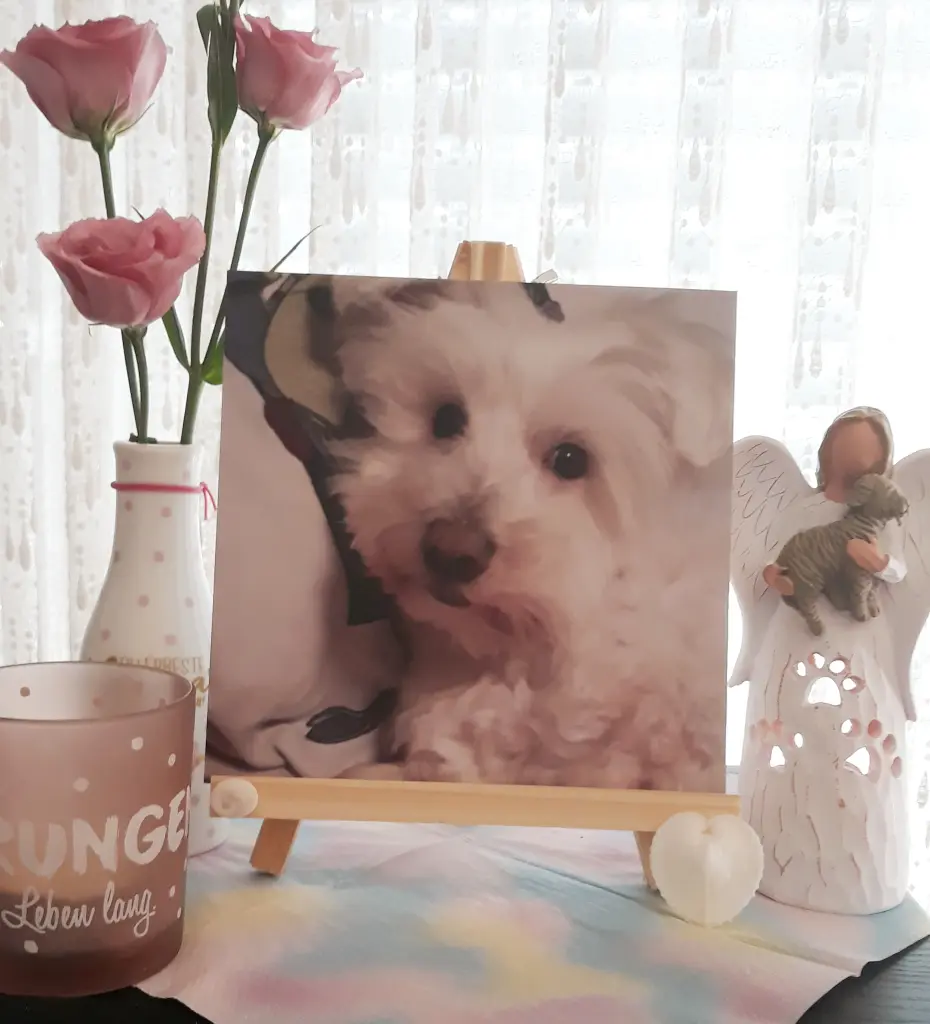 Condolence image of ♥️ Von Samy für Jacki ♥️