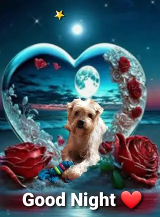 Condolence image of ⭐Gute Nacht Jackuś❤ ⭐