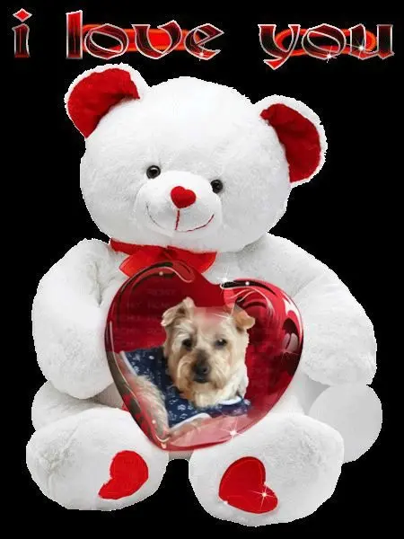 Condolence image of Dobrej Nocki❤️❤️❤️Jackusiu❤️