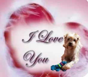 Condolence image of Ewa