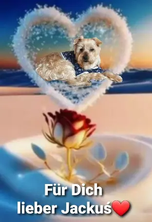 Condolence image of ⭐Gute Nacht Jackuś❤⭐