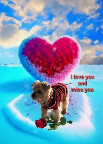 Condolence image of Ewa