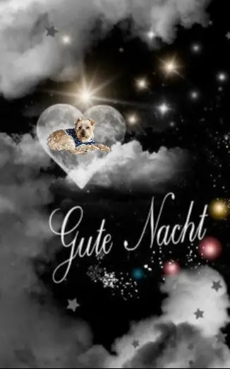 Condolence image of ⭐Gute Nacht Jackuś❤⭐