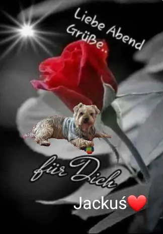 Condolence image of ⭐Gute Nacht Jackuś❤⭐