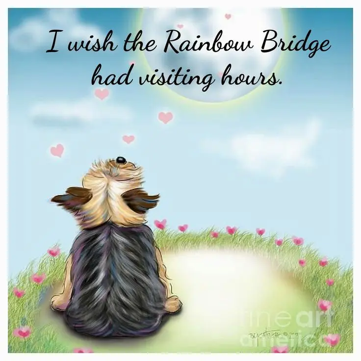 Condolence image of Martina mit Samy ♥️⭐♥️ für immer im Herzen