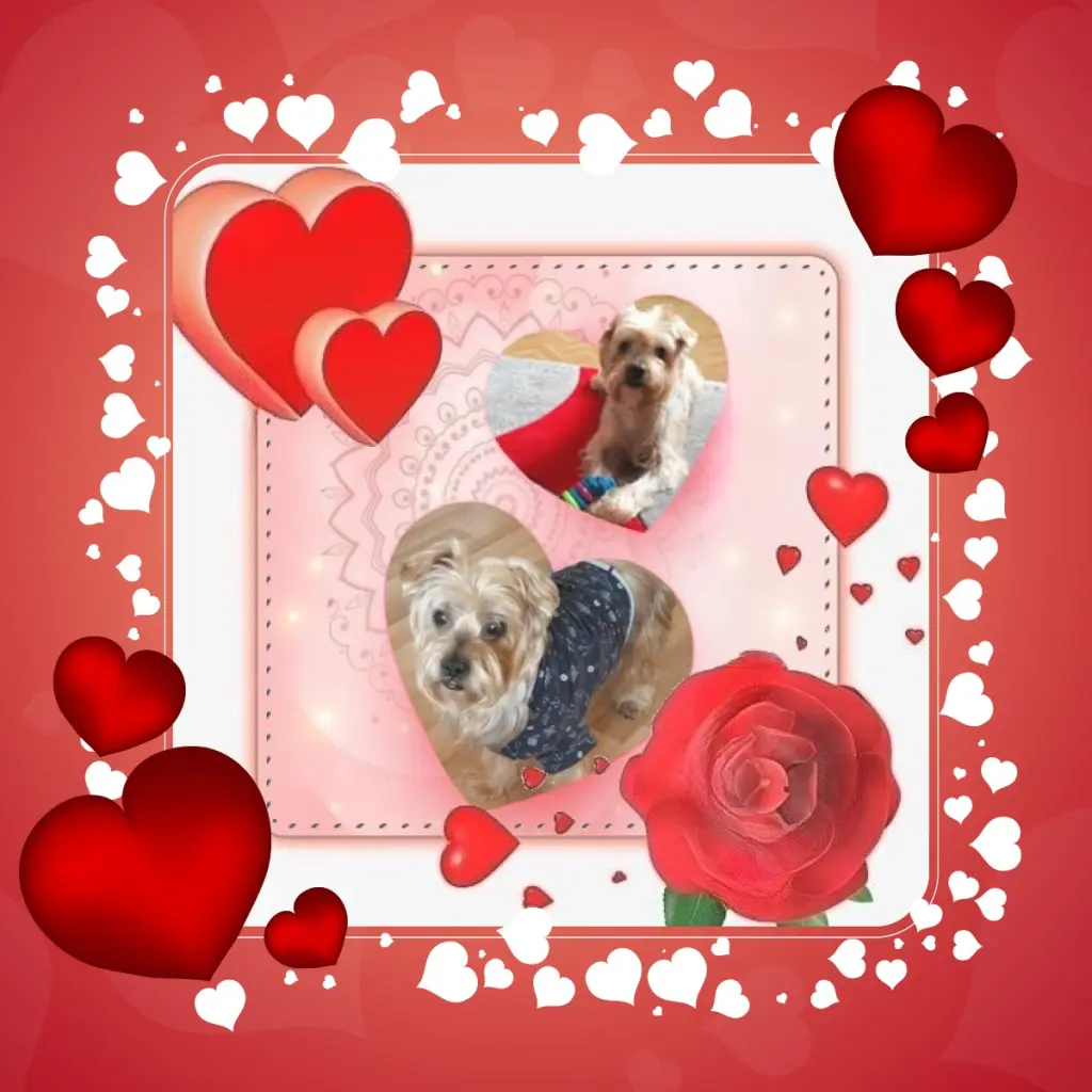 Condolence image of Dzień Dobry❤️❤️❤️Jackusiu❤️❤️❤️