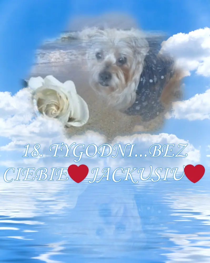 Condolence image of 18. Tygodni Bez Ciebie❤️Jackusiu❤️
