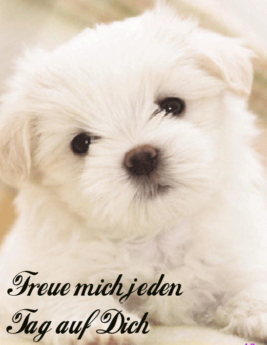 Condolence image of ❤️❤️❤️❤️❤️❤️❤️❤️❤️❤️❤️❤️