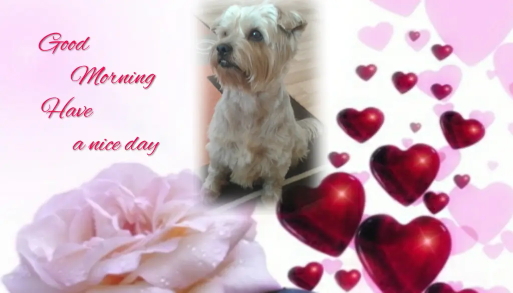 Condolence image of Ewa und Krzysztof