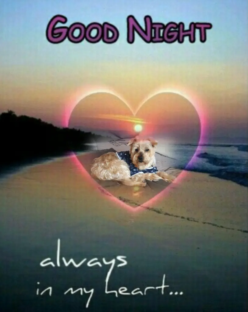 Condolence image of ⭐Gute Nacht Jackuś❤⭐