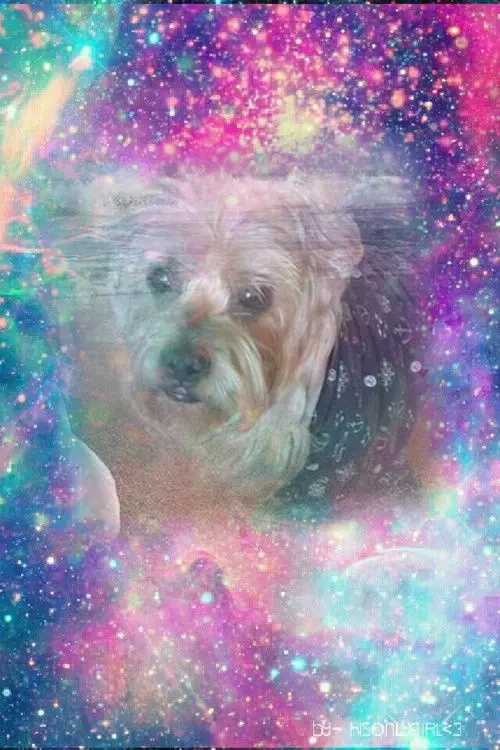 Condolence image of Dobrej Nocki❤️❤️❤️Jackusiu❤️