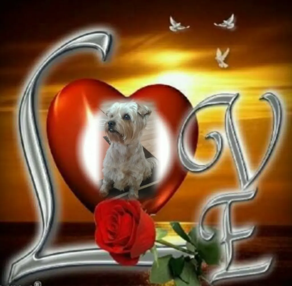 Condolence image of Ewa