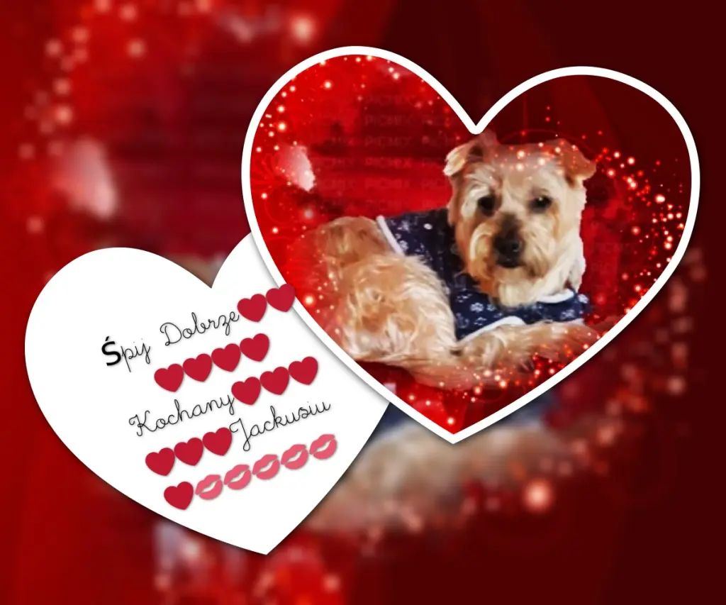 Condolence image of Dobrej Nocki❤️❤️❤️Jackusiu❤️