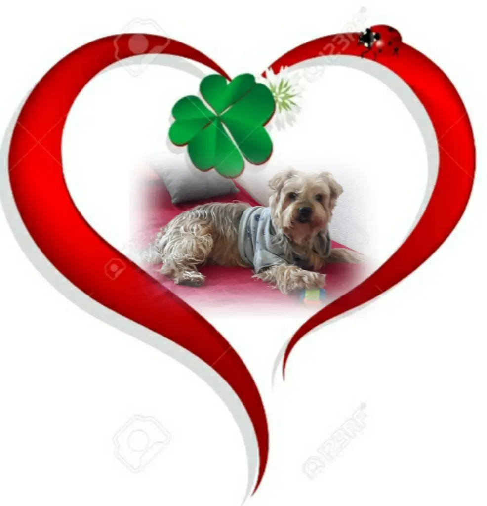 Condolence image of Ewa