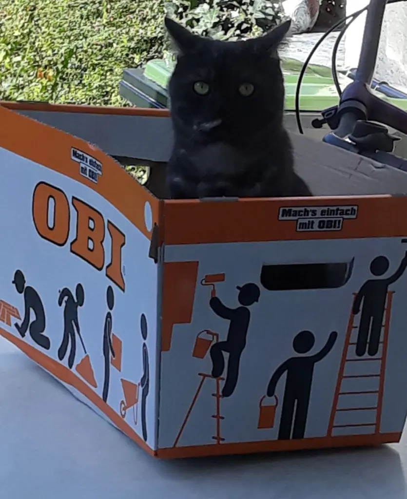 Condolence image of Von Samy ♥️⭐♥️ für seinen Freund Jacki ♥️⭐♥️