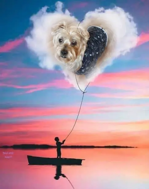 Condolence image of 19. Wochen......Ohne Dich❤️Jackusiu❤️