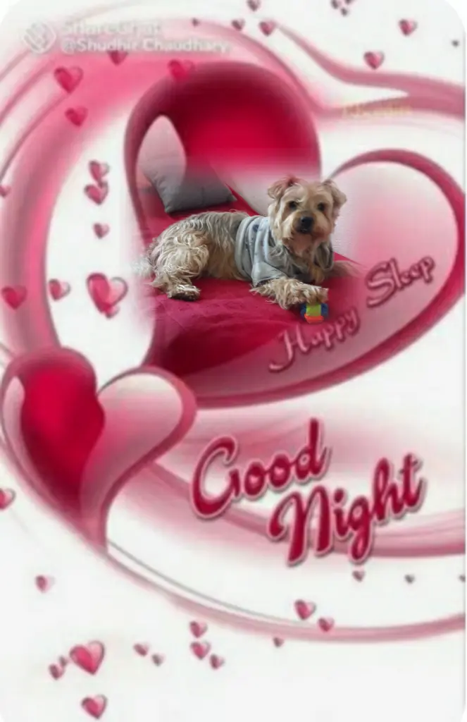 Condolence image of ⭐Gute Nacht Jackuś❤⭐