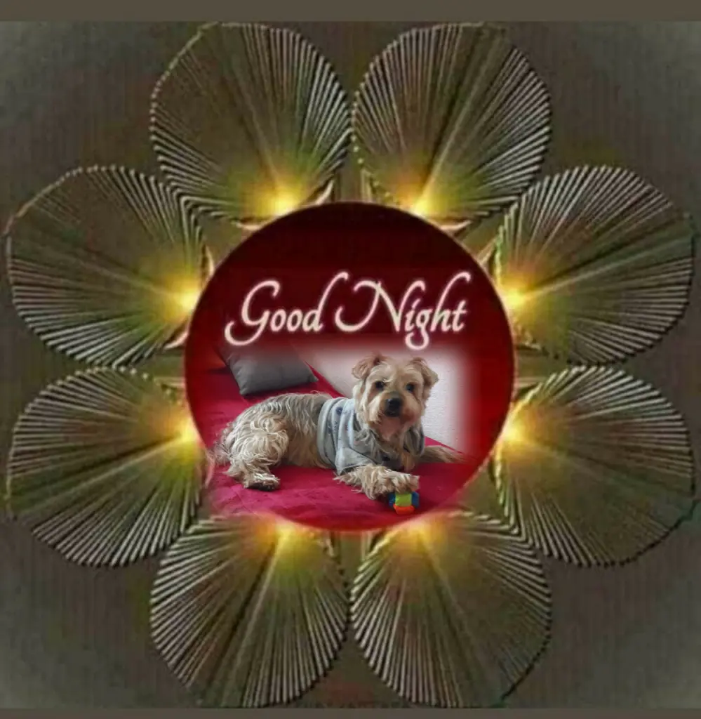 Condolence image of ⭐Gute Nacht Jackuś❤⭐