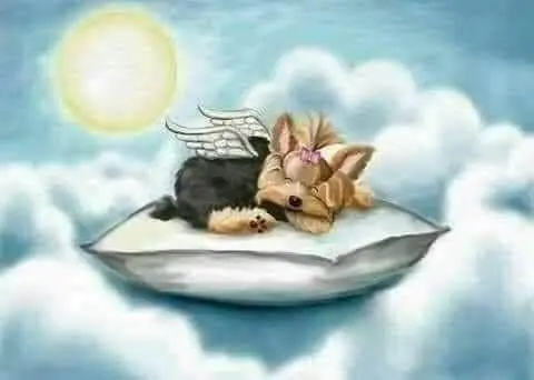 Condolence image of Schlaf gut kleiner Engel Jacki ♥️⭐♥️