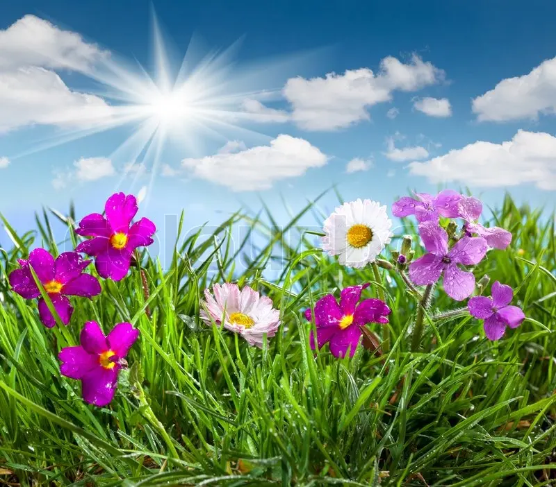 Condolence image of Gaby mit Snowy im Herzen ❤️