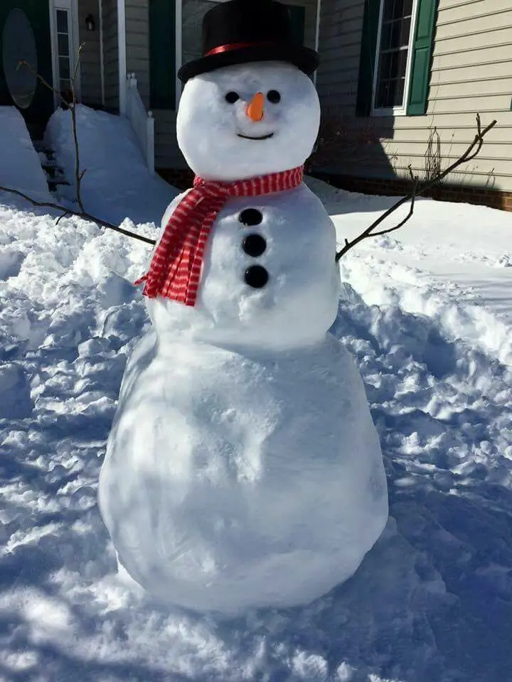 Condolence image of Martina mit Seelenhund Samy ♥️⭐♥️ für immer im Herzen 