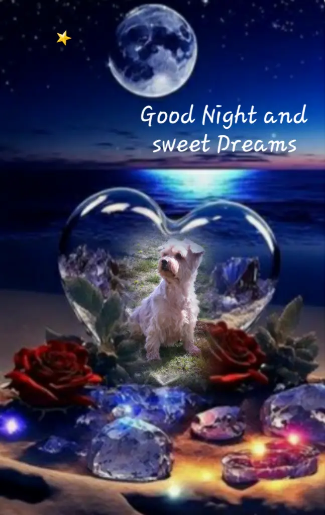 Condolence image of ⭐Gute Nacht Jackuś❤⭐