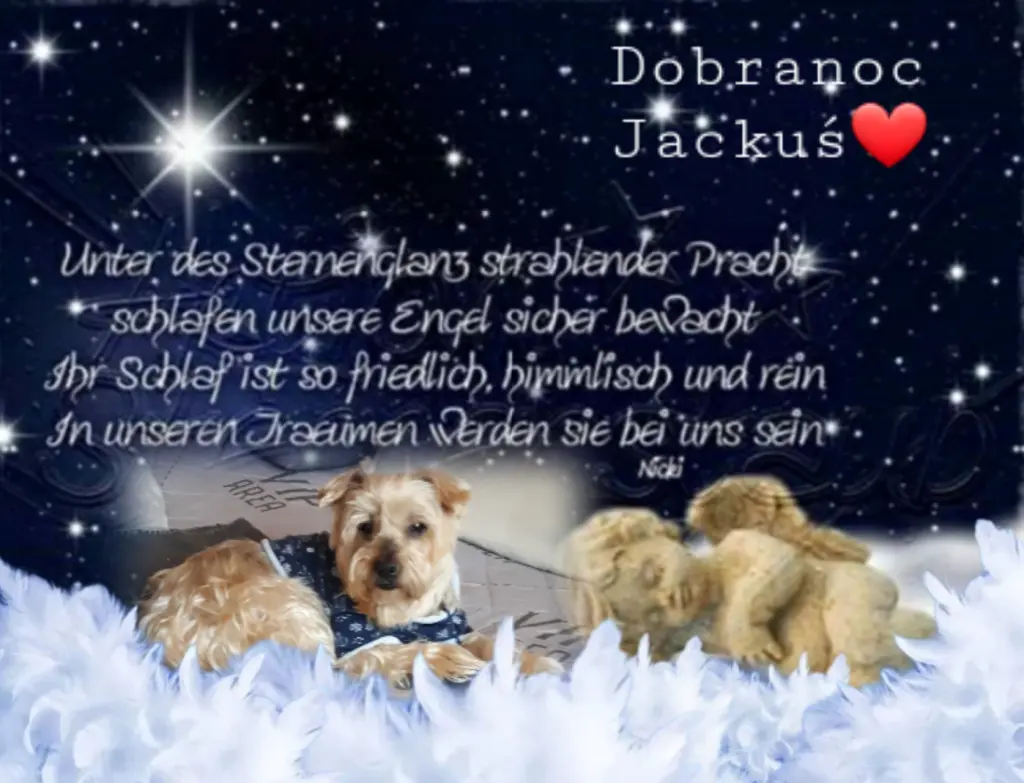 Condolence image of ⭐Gute Nacht Jackuś❤⭐