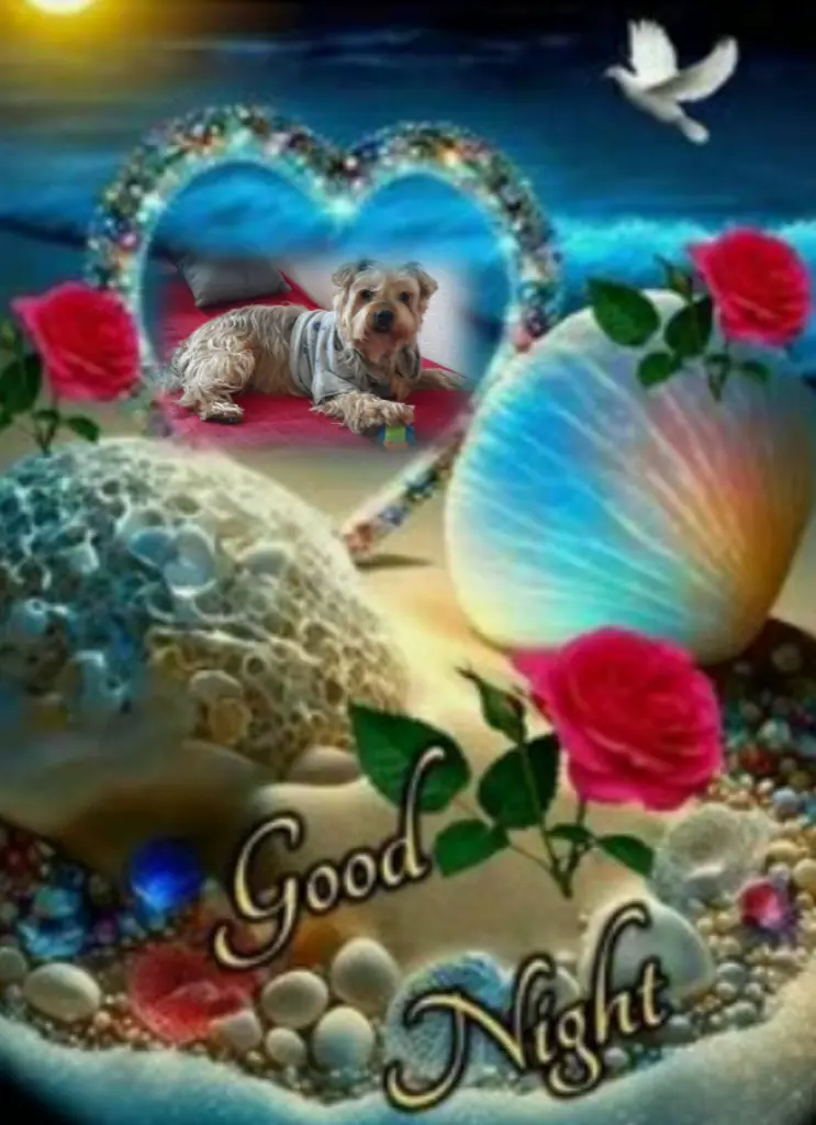 Condolence image of ⭐Gute Nacht Jackuś❤⭐