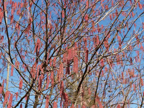 Condolence image of ♥️ Zum Wochenende ♥️