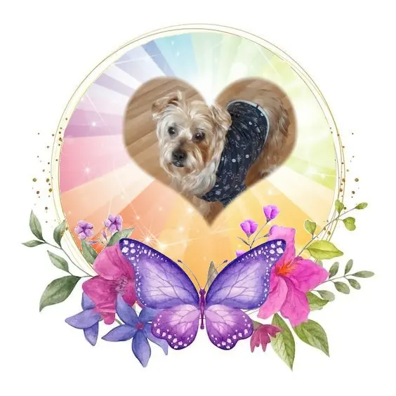 Condolence image of 20. Tygodni..... Bez Ciebie❤️❤️❤️Jackusiu❤️