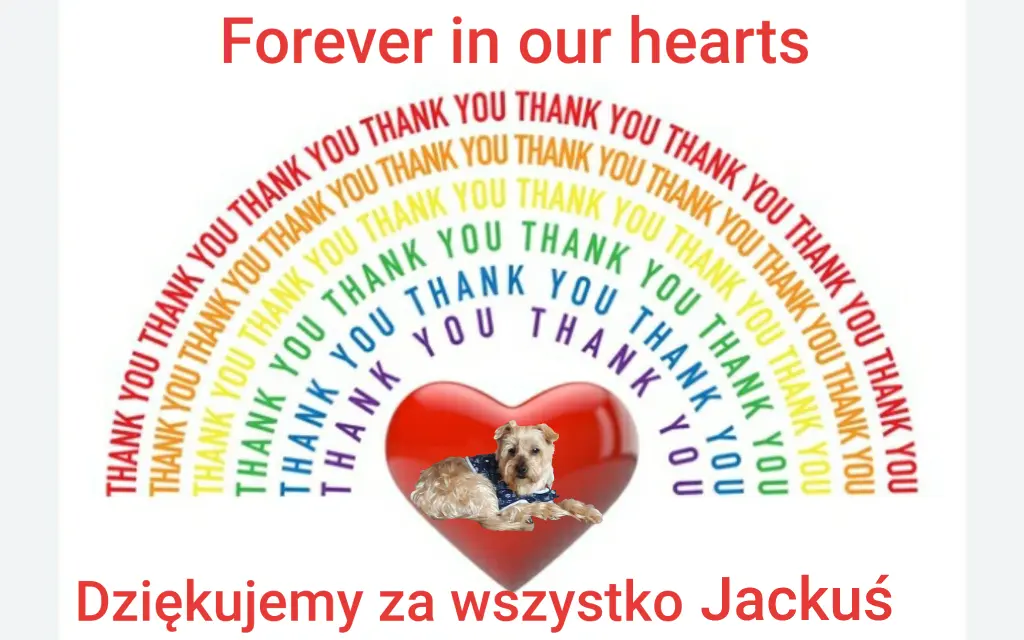 Condolence image of Sonntag, 20 Wochen...