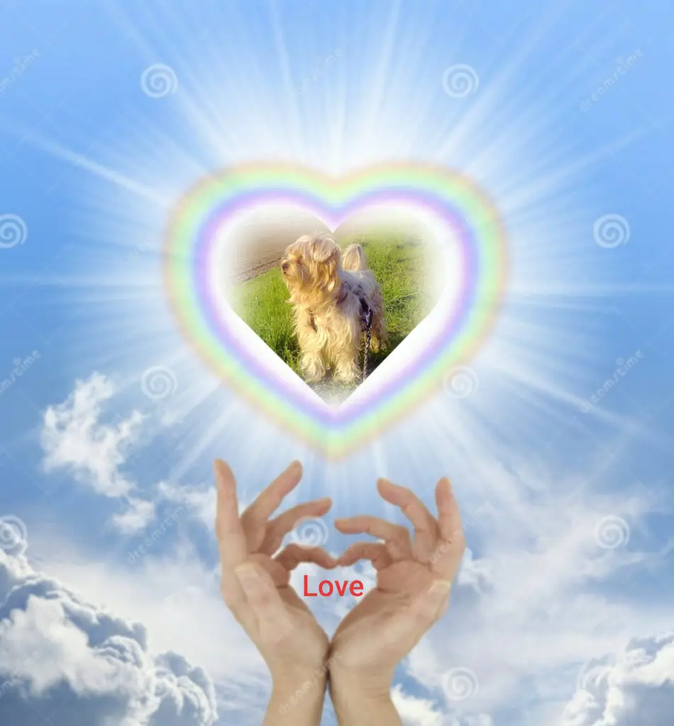 Condolence image of 20 Wochen...