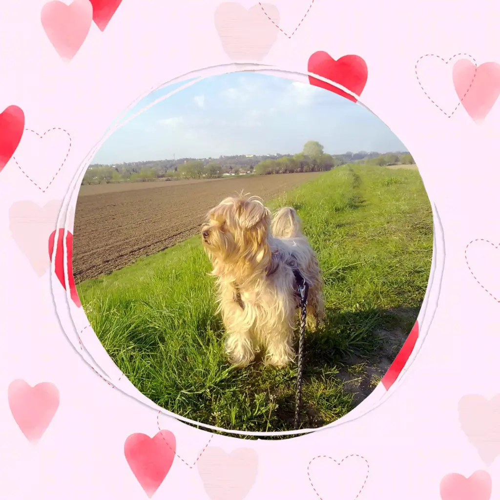 Condolence image of Ewa und Krzysztof