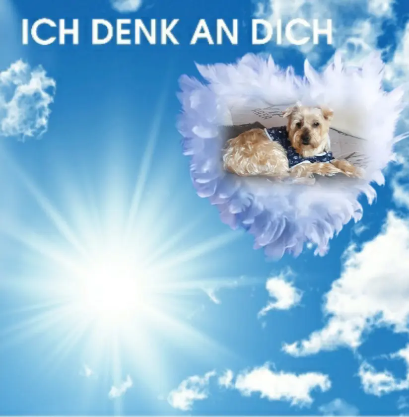 Condolence image of Ewa