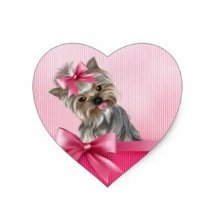 Condolence image of Martina mit Seelenhund Samy ♥️⭐♥️ für immer im Herzen 