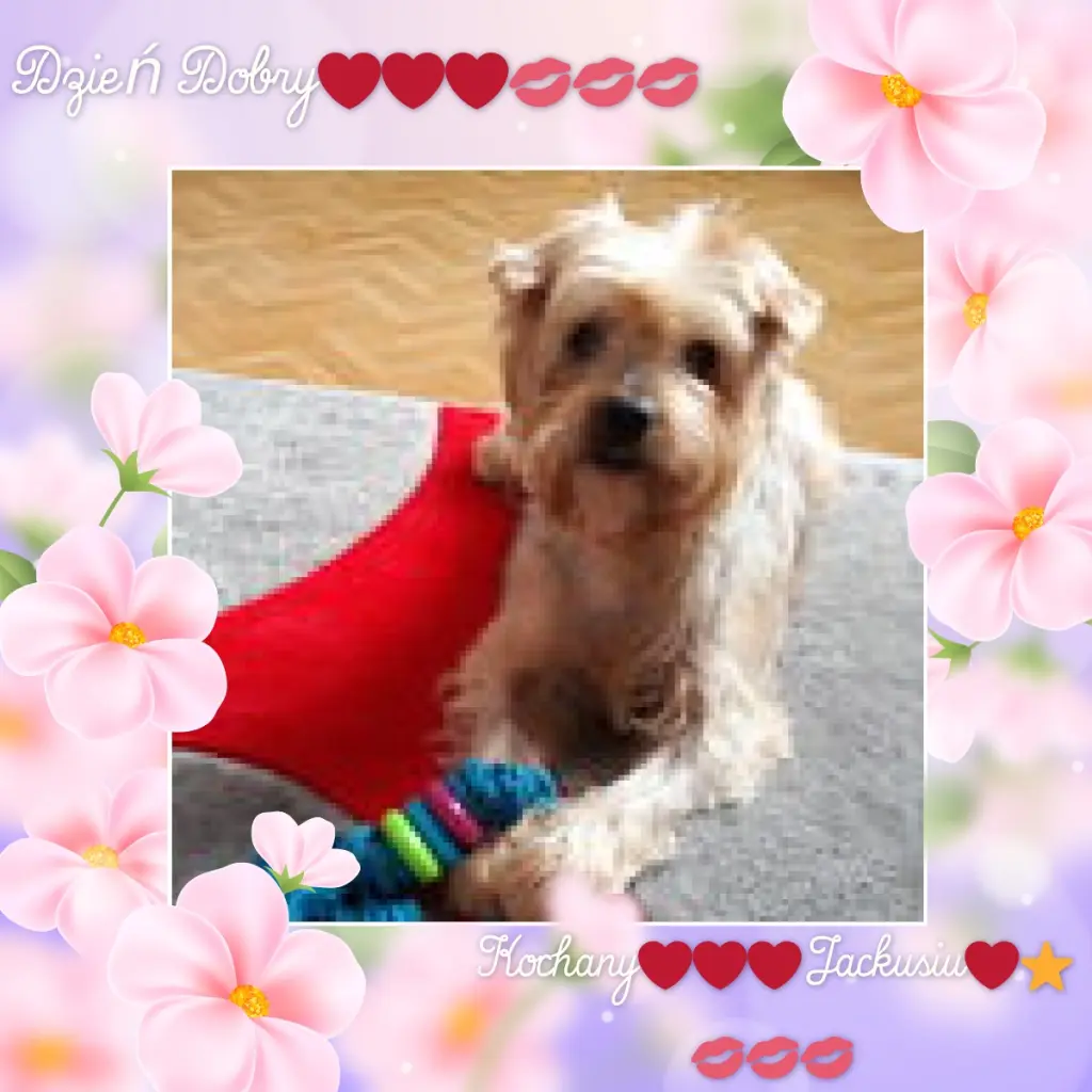 Condolence image of Dzień Dobry❤️❤️❤️Jackusiu❤️❤️❤️