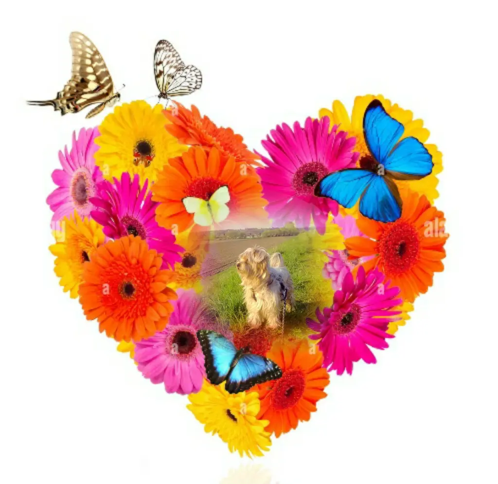 Condolence image of Ewa und Krzysztof 