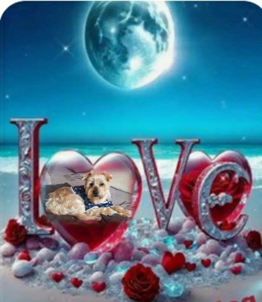 Condolence image of ⭐Dobranoc kochany Jackusiu❤⭐