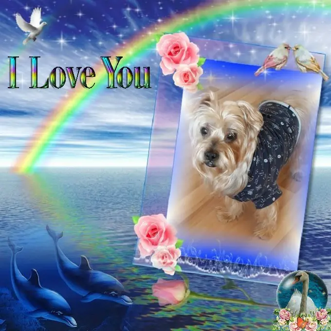 Condolence image of Dzień Dobry❤️❤️❤️Jackusiu❤️❤️❤️17. Wochen.......