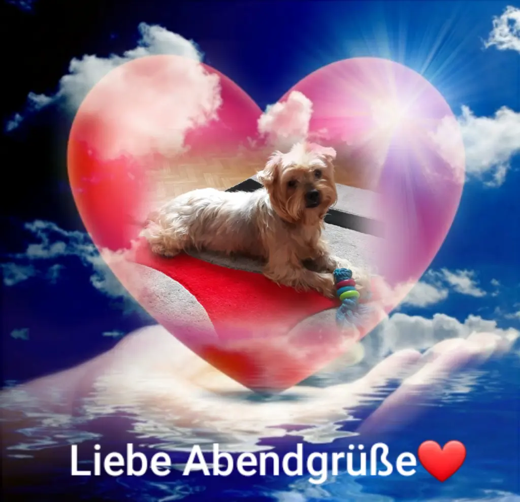 Condolence image of ⭐❤Gute Nacht Jackusiu❤⭐