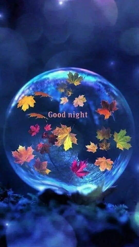 Condolence image of Martina mit Seelenhund Samy ♥️⭐♥️ für immer im Herzen 