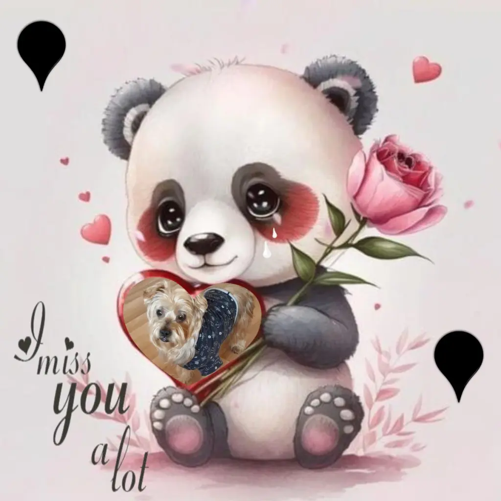 Condolence image of 21. Tygodni......Bez Ciebie❤️⭐️Jackusiu❤️⭐️