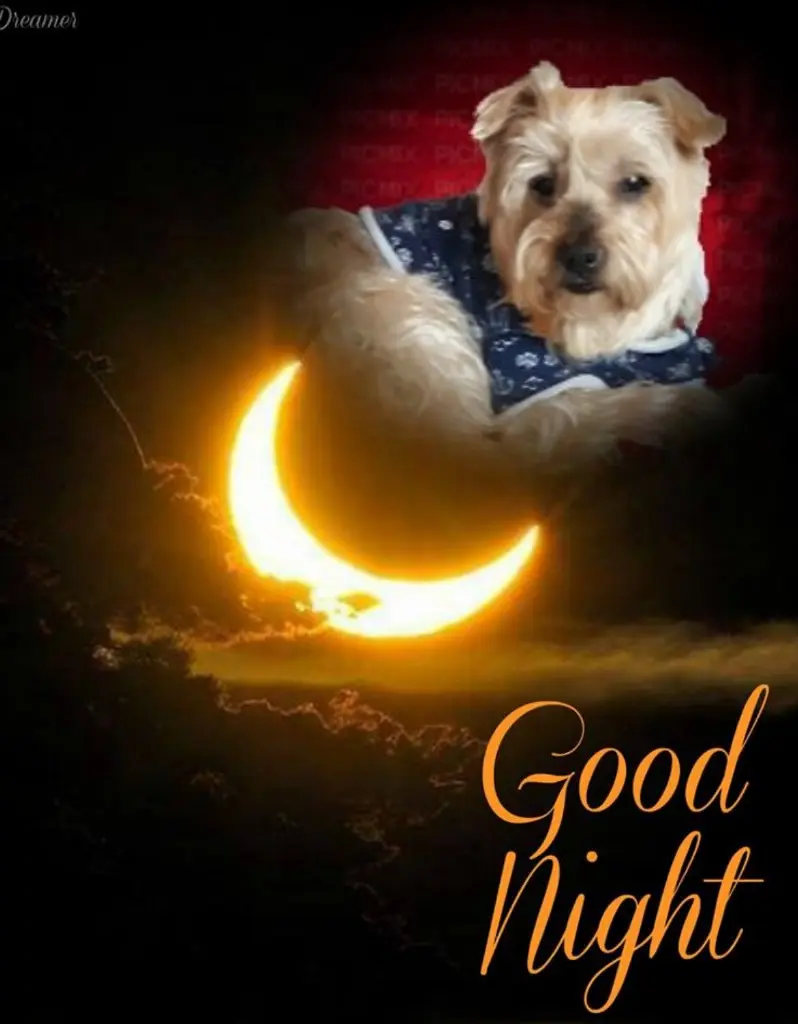 Condolence image of Dobrej Nocki❤️❤️❤️Jackusiu❤️