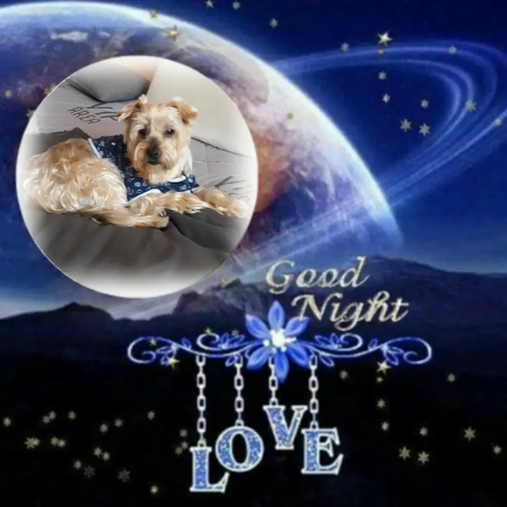 Condolence image of ⭐❤Gute Nacht Jackuś❤⭐