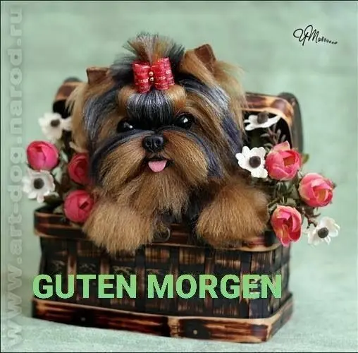 Condolence image of Martina mit Seelenhund Samy ♥️⭐♥️