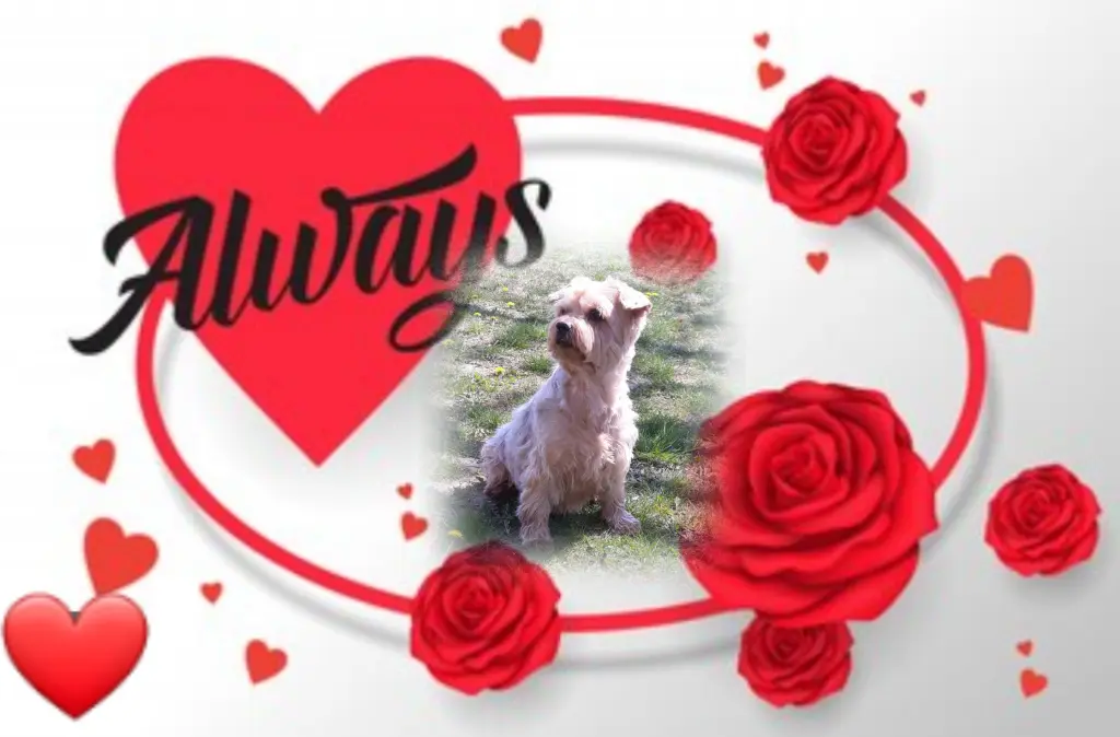 Condolence image of Ewa & Krzysztof 