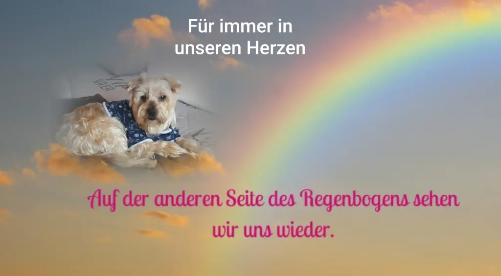 Condolence image of Ewa & Krzysztof 